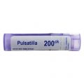 Pulsatilla 200CK